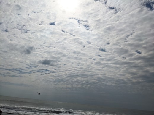 pxl_20210523_134557393