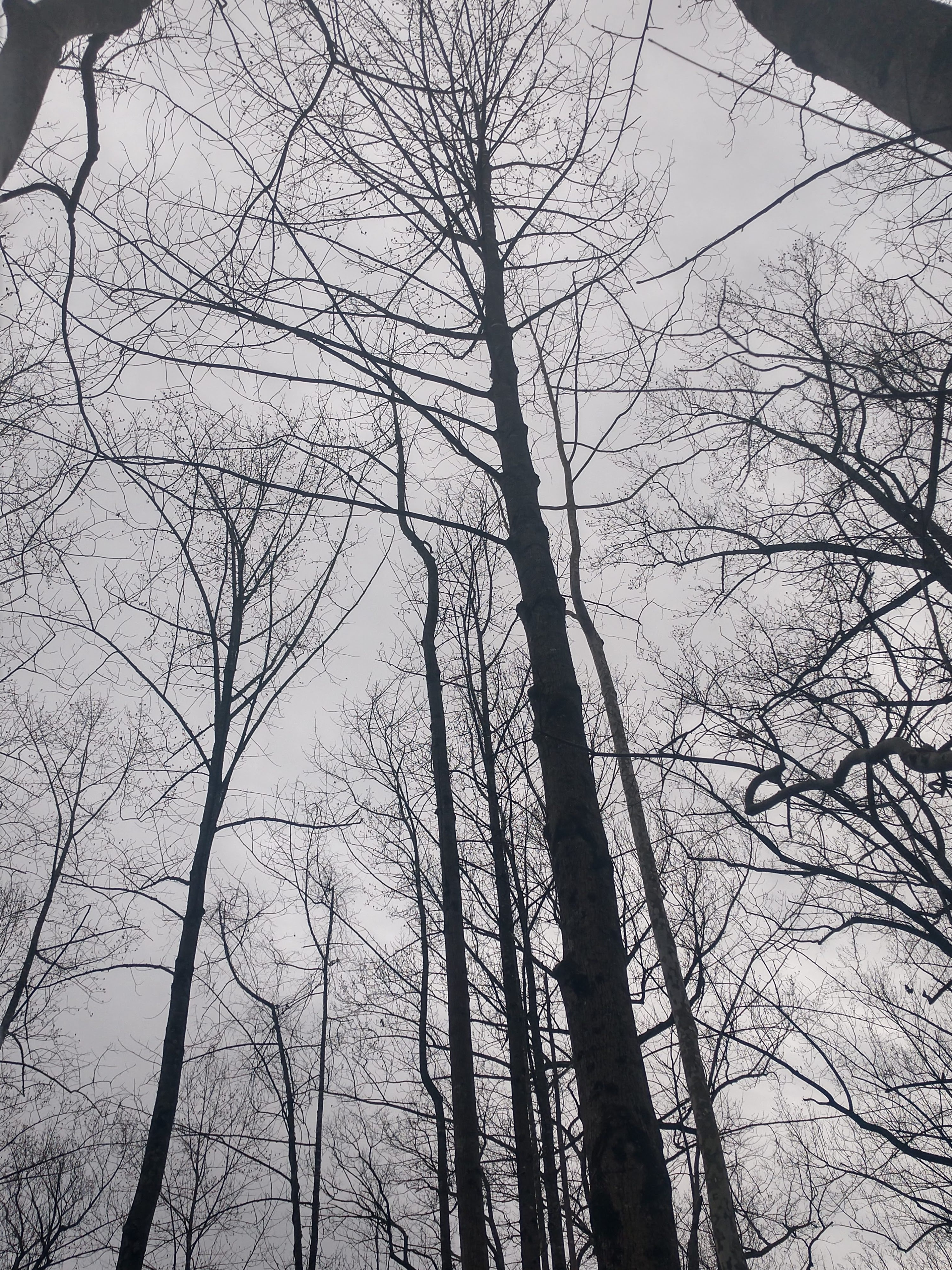 img_20200204_153823016_hdr