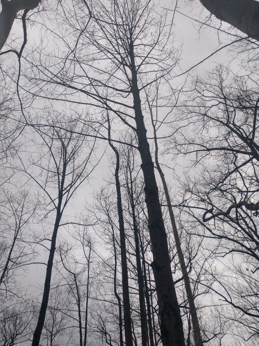 img_20200204_153823016_hdr